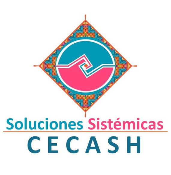 logo cecash 570x480 03
